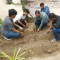 Plantation drive by Electrical Engineering Department